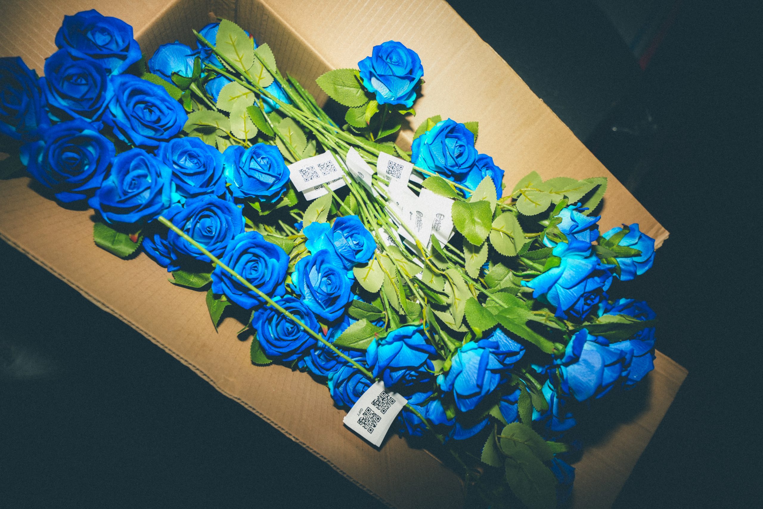 EL VENDEDOR DE ROSAS OR HOW TO ROMANTICIZE THE UNATTAINABLE: INSIDE RAUL CLYDE’S SOPHOMORE ALBUM